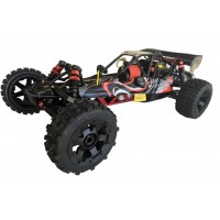 Rovan Baja Petrol 29cc │THEY ARE ALMOST HERE!!